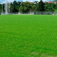 gazon-sportivnyiy