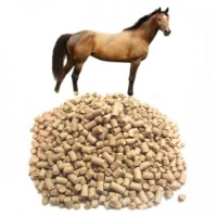 264349-kombikorma-dlia-loshadiei-1280x768