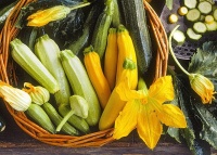 ae925c206fdc55a6ae2f54c6bb7f1e9f_ce_612x438x0x0_cropped_1224x876