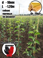 Опоры 10 новая